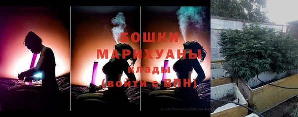 бошки Арсеньев