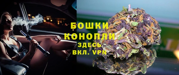 бошки Арсеньев